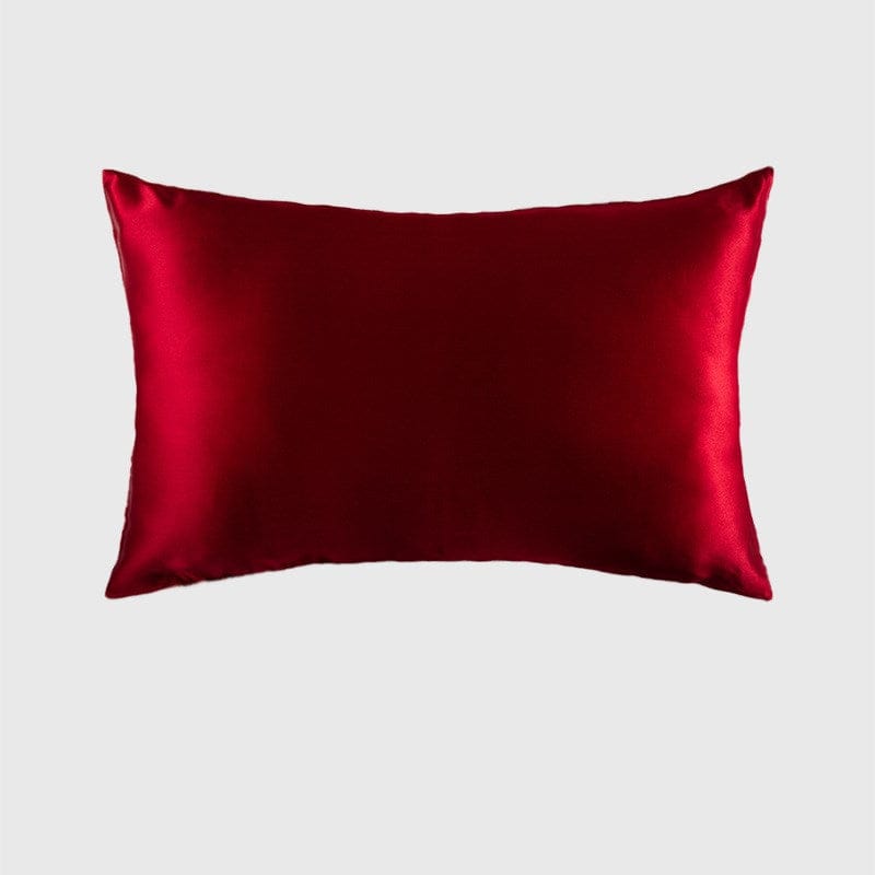 Lars Haircare Silk Pillowcase Wine red / 51x66cm Double-Sided Silk Zipper Pillowcase, 19 mommes CJJJJFZT00898-Wine red-51x66cm